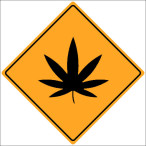 marijuana-doctor-massachusetts-safety