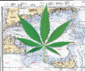 No Marijuana on Cape Islands