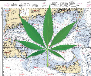 No Marijuana on Cape Islands