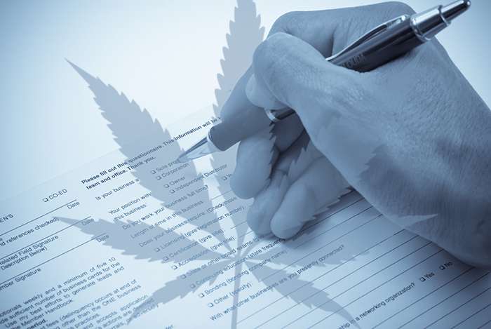 How to Renew Your Medical Marijuana Registration in Massachusetts - The Holistic Center - Marijuana Doctor Boston - Marijuana Doctors Boston