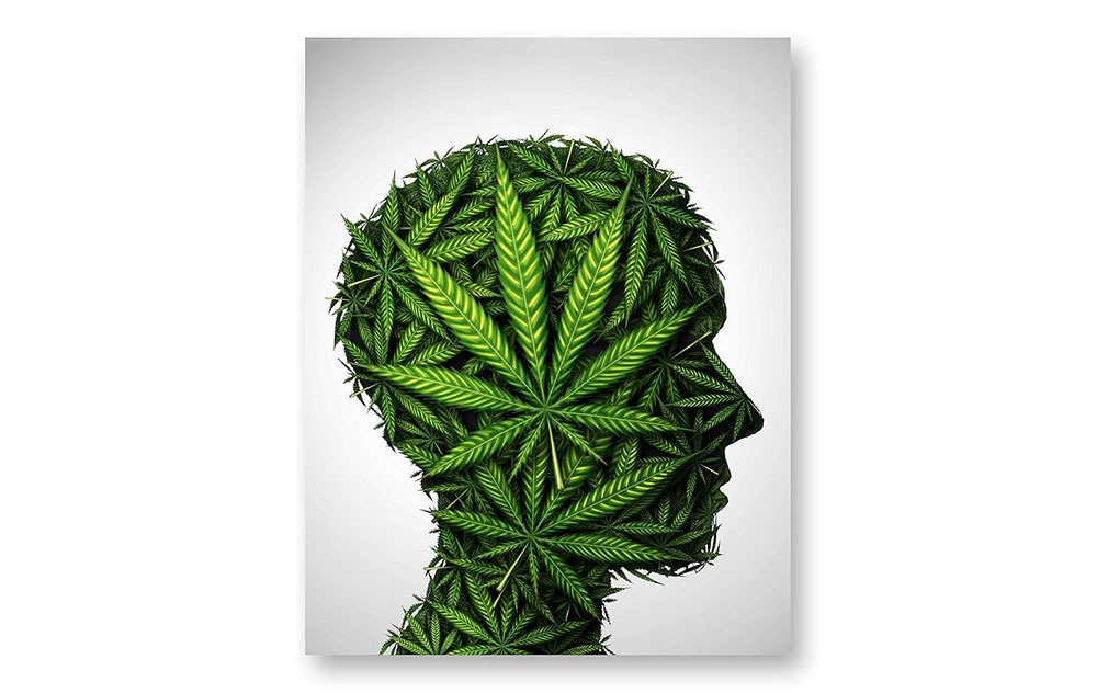 cannabis telehealth