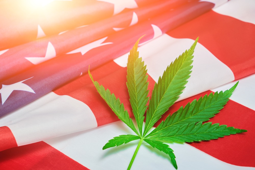 cannabis shops Massachusetts