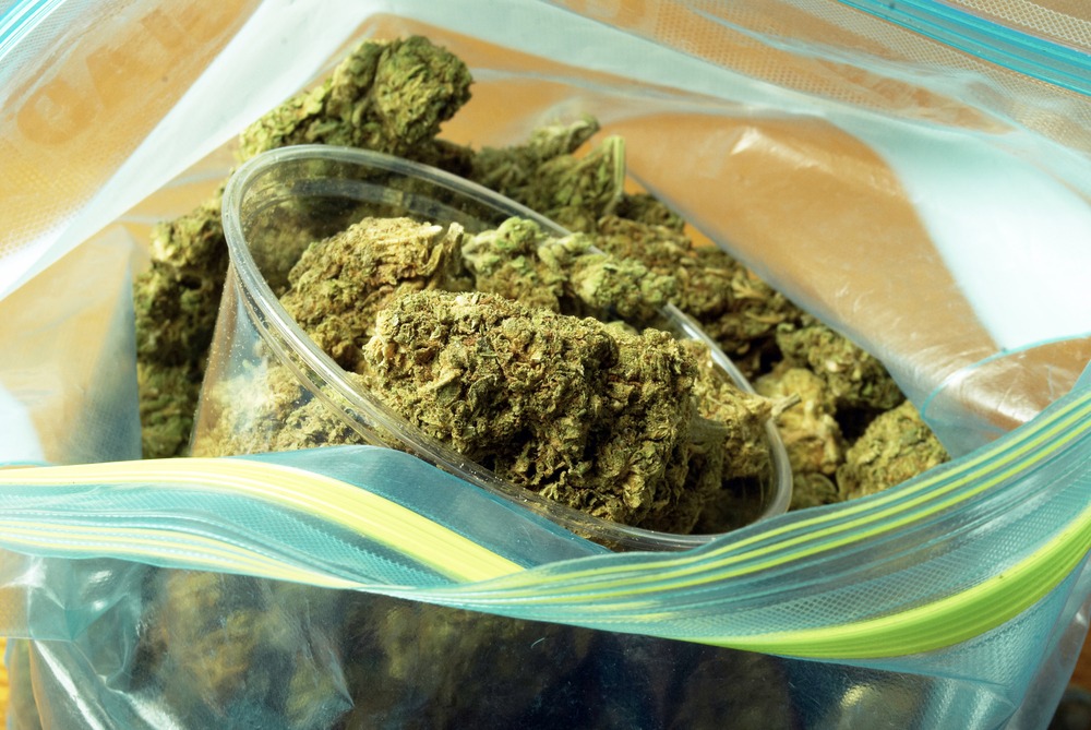 cannabis professionals