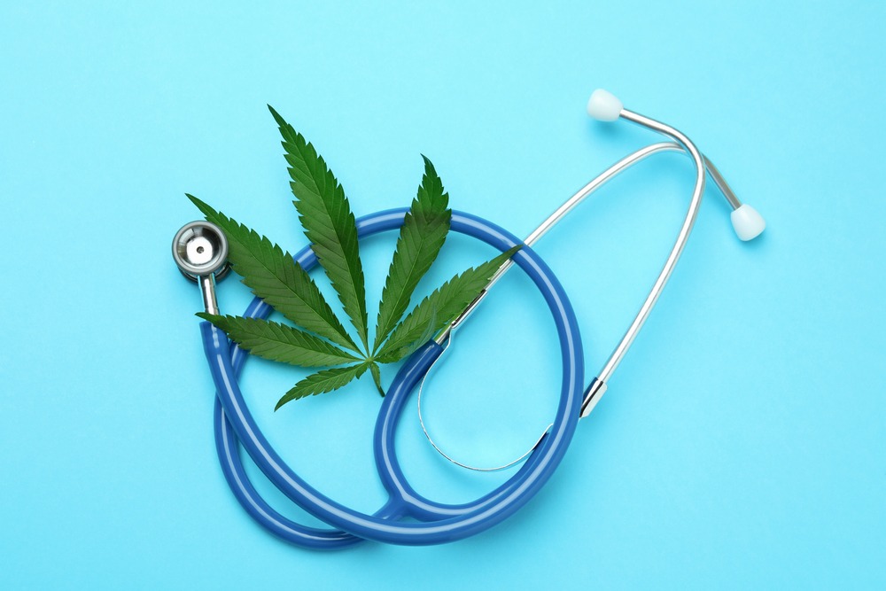 cannabis professionals