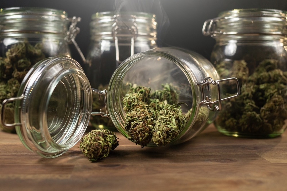 cannabis treatment plan