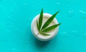 cannabis certification and appointment