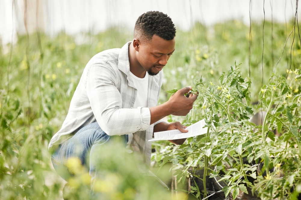 fastest marijuana card