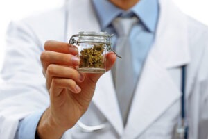 cannabis professionals
