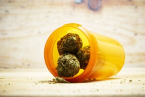 cannabis therapy