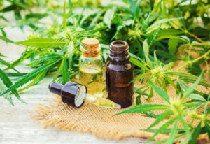 cannabis certification appointment